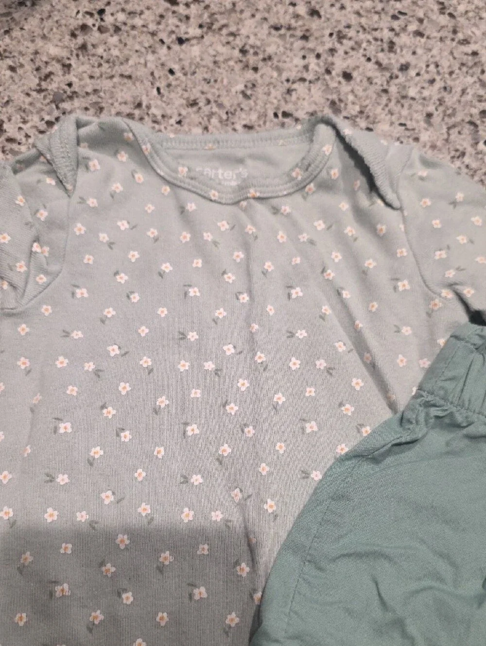 Carter's Mint Green Cotton Shorts - Kids Bottoms